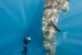 Isla Mujeres Whalesharks Steve Eilenberg 2013 (58 Of 64)