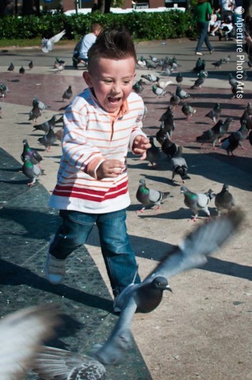 Chasing pigeons. Barcelona Spain