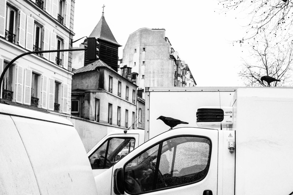 Crows and trucks at the market, Paris France