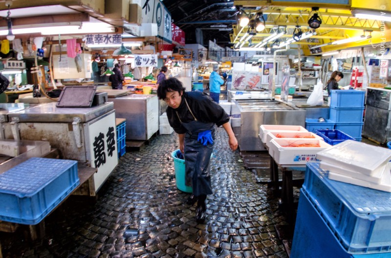 Fish market. Tokyo, Japan