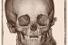 3D CT reconstruction, Peruvian mummy (child)