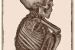 3D CT reconstruction of Peruvian mummy child II