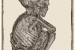 3D CT reconstruction of Peruvian mummy child III