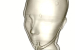 3D CT of vintage  glass mannequin head