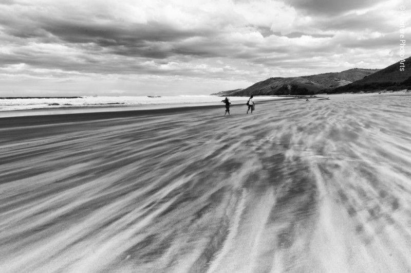 Sand blowing, beach, south africa, wild coast