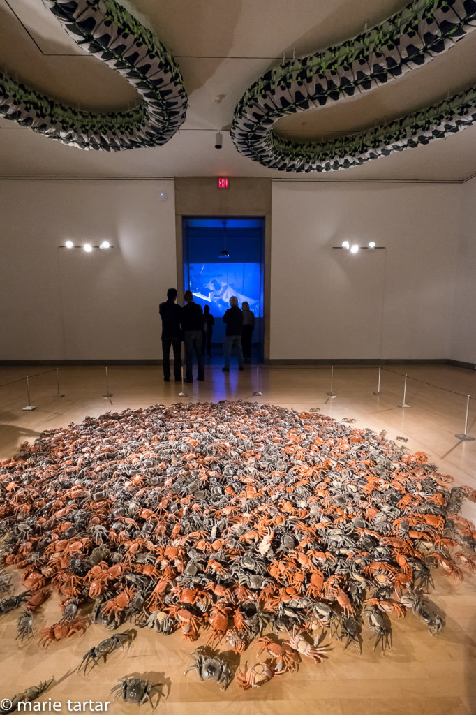 Ai Weiwei show "According to What?" at Brooklyn Museum of Art