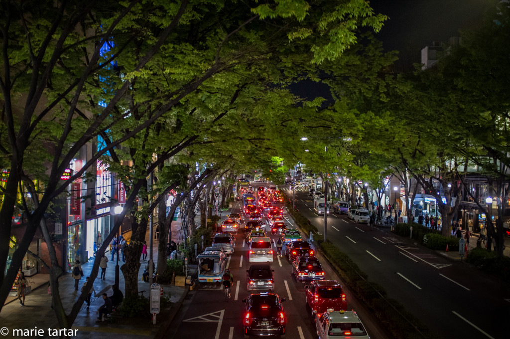 Omote-sando, a high end shopping street in Tokyo, at night