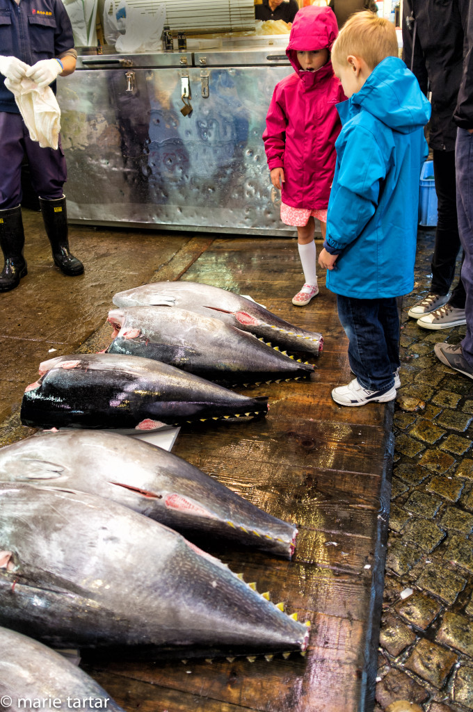 Children gape at tuna on offer at Tsukiji fish market, Tokyo