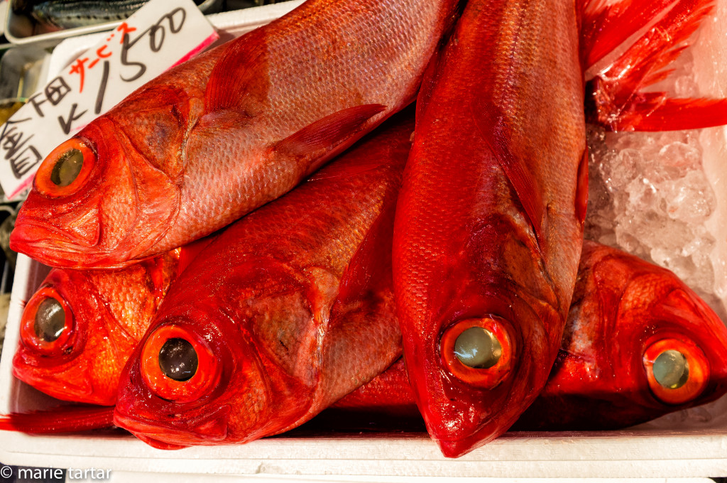 Red fish for sale, Tsukiji market, Tokyo