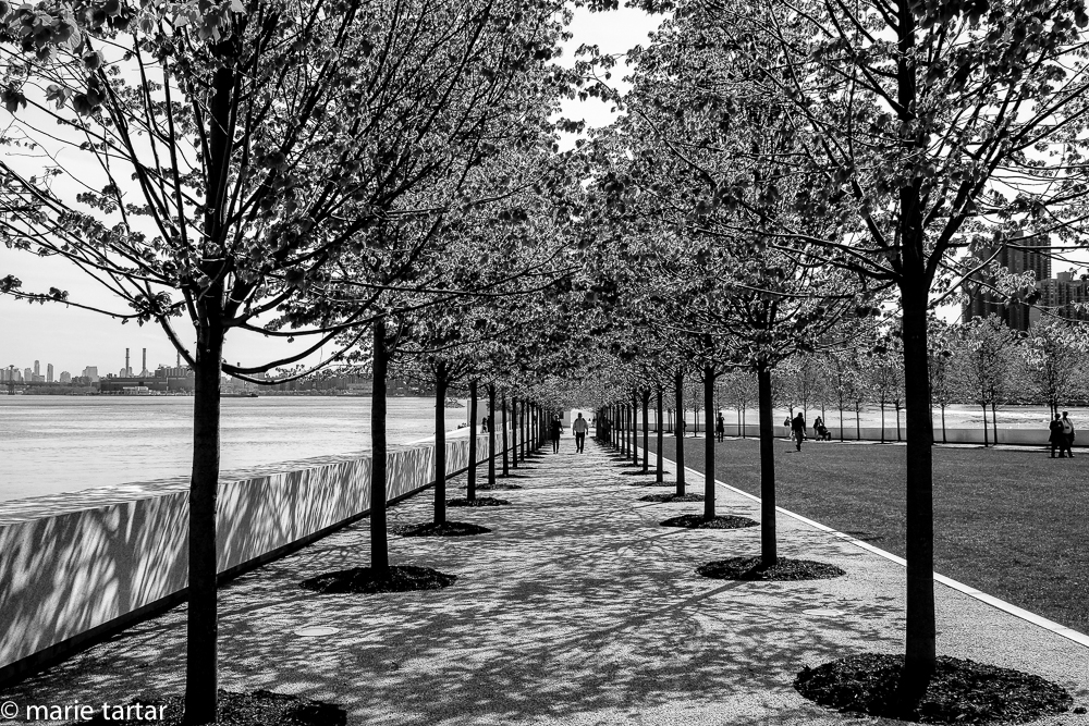 Four Freedoms Park on Roosevelt Island in NYC