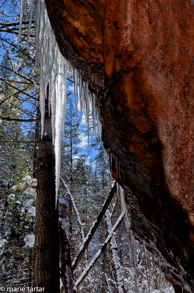 Icicles decorate red rock overhangs after a winter storm in West Fork of Oak Creek
