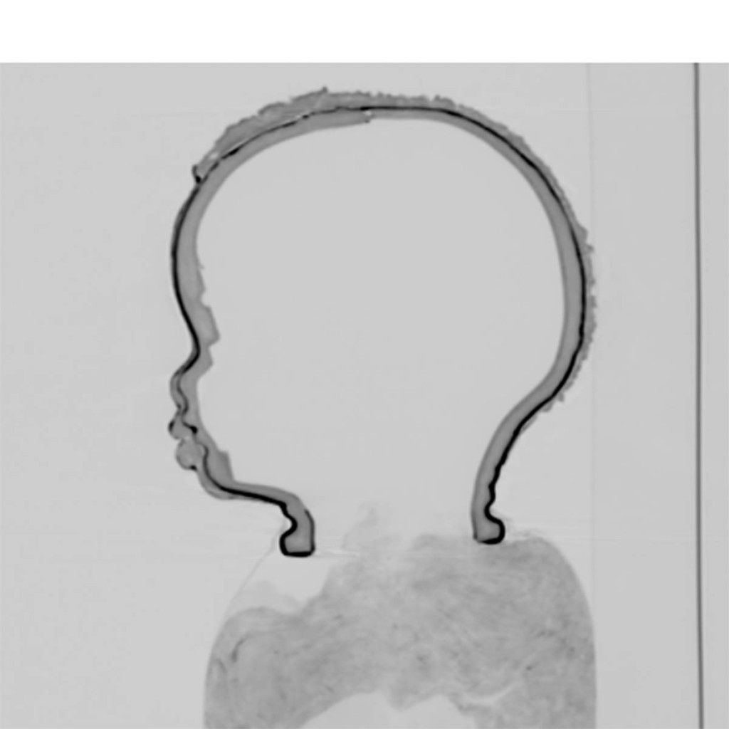 CT reconstruction of Leo Moss Doll Head