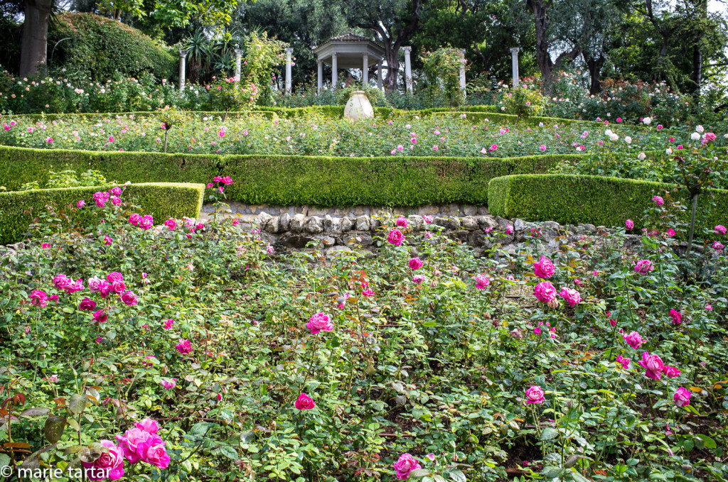 Rose garden at Villa Ephrussi-Rothschild
