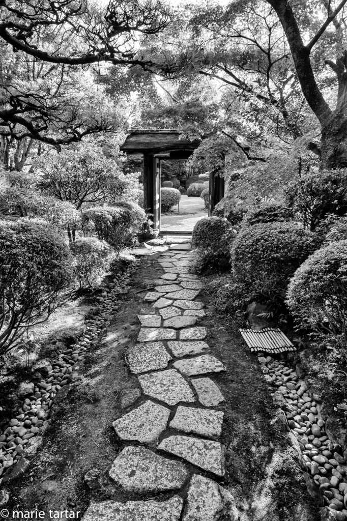 Urakuen, a Japanese garden in Inuyama