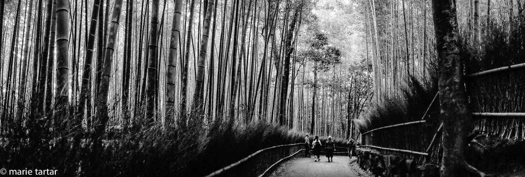 Arashiyama bamboo forest in western Kyoto, Japan
