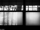 Shoji screens in typical Japanese house