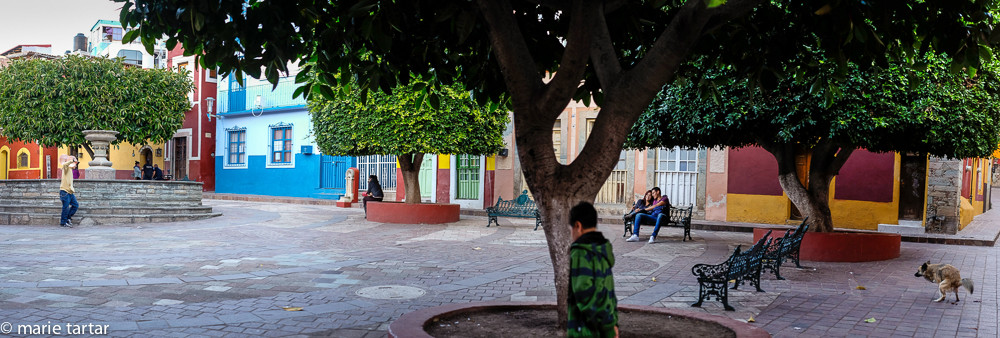 Plazas punctuate Guanajuato's historic center