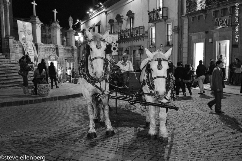 Guanajuato Mexico, Marriage, horse coach, driver, Town center