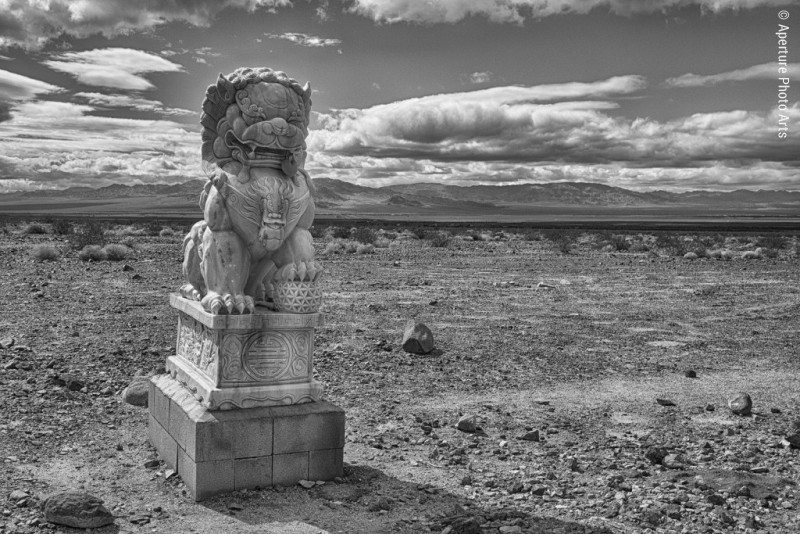 Route 66, Foo dog statue, americana, old highway 66, desolate