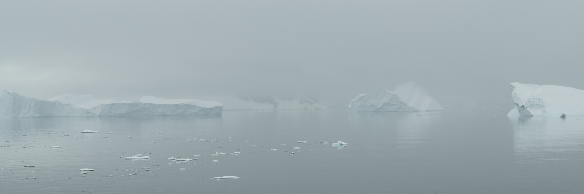 Antarctica 2019 (17)