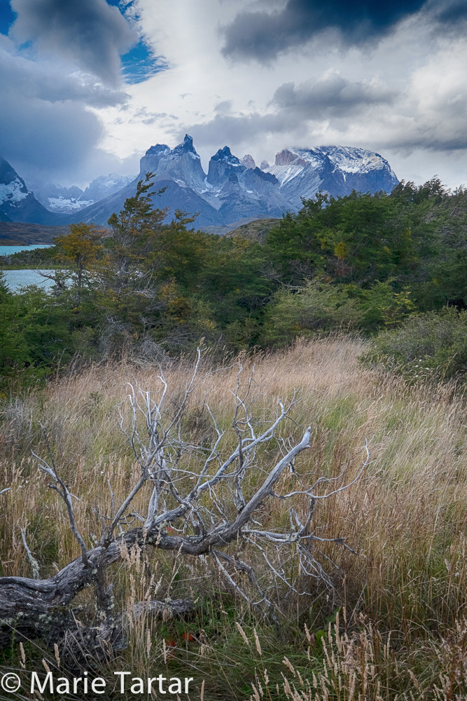 MT Patagonia 2015 Vertical HDR