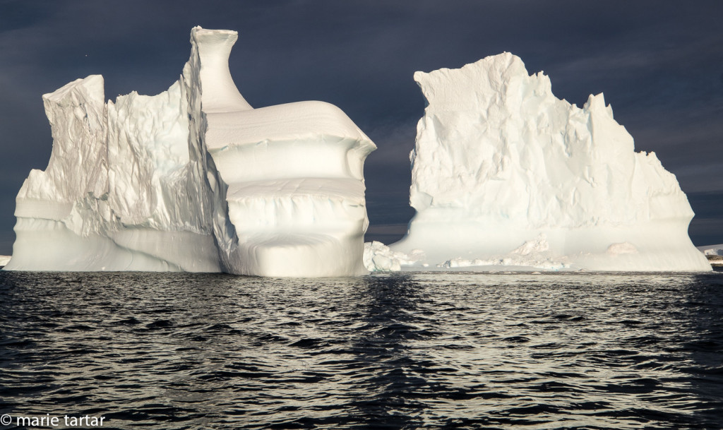 Sculptural icebergs in PLeneau Bay in Antarctica