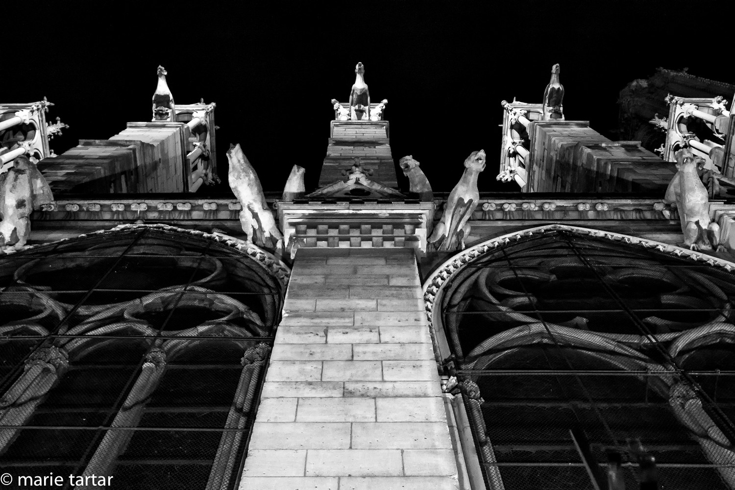 Notre Dame is well lit at night; walking home from dinner one night inspired me to return the next night, armed with a longer focal length lens