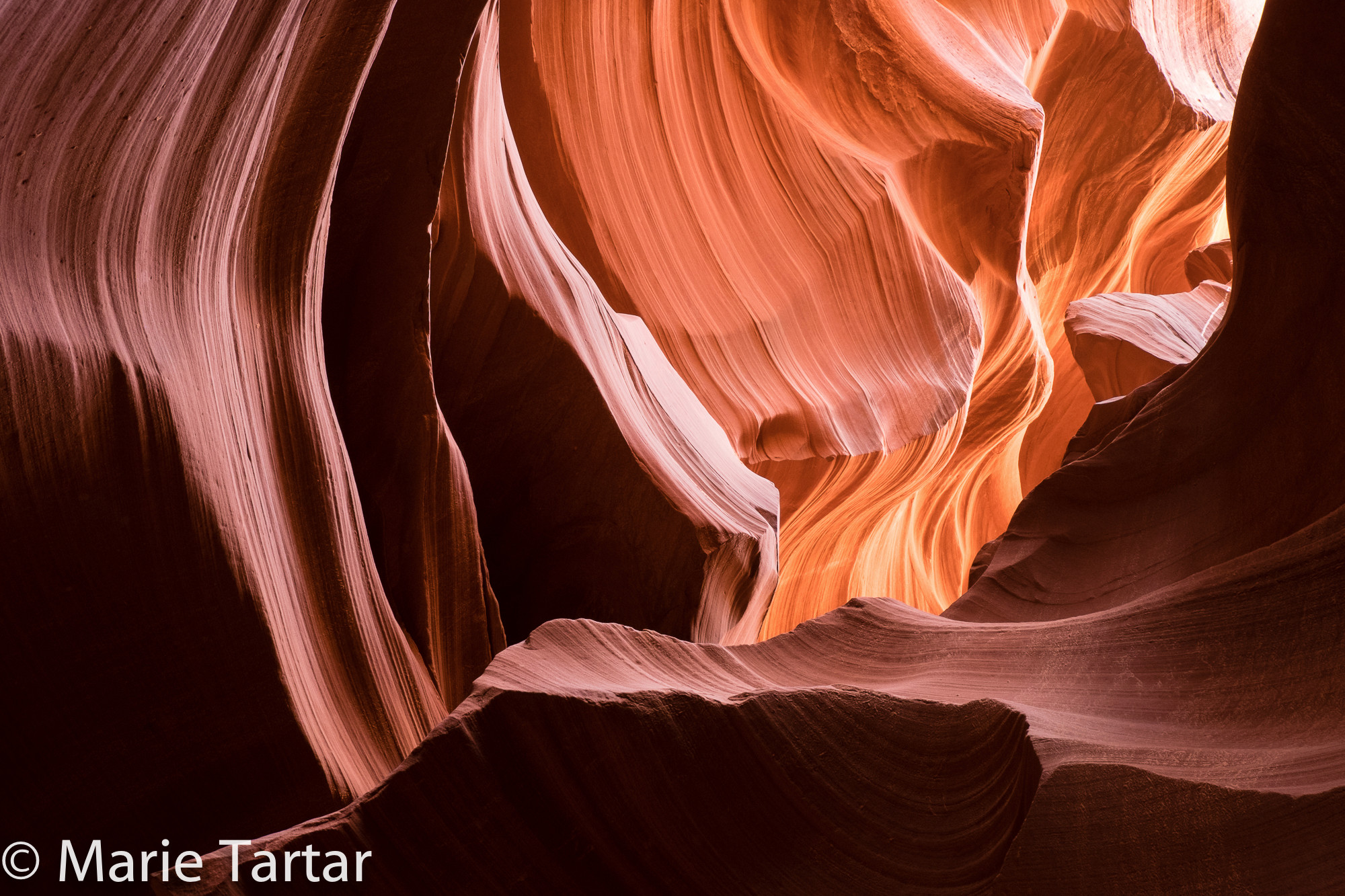 Sinuous curves of sandstone in Lower Antelope Canyon