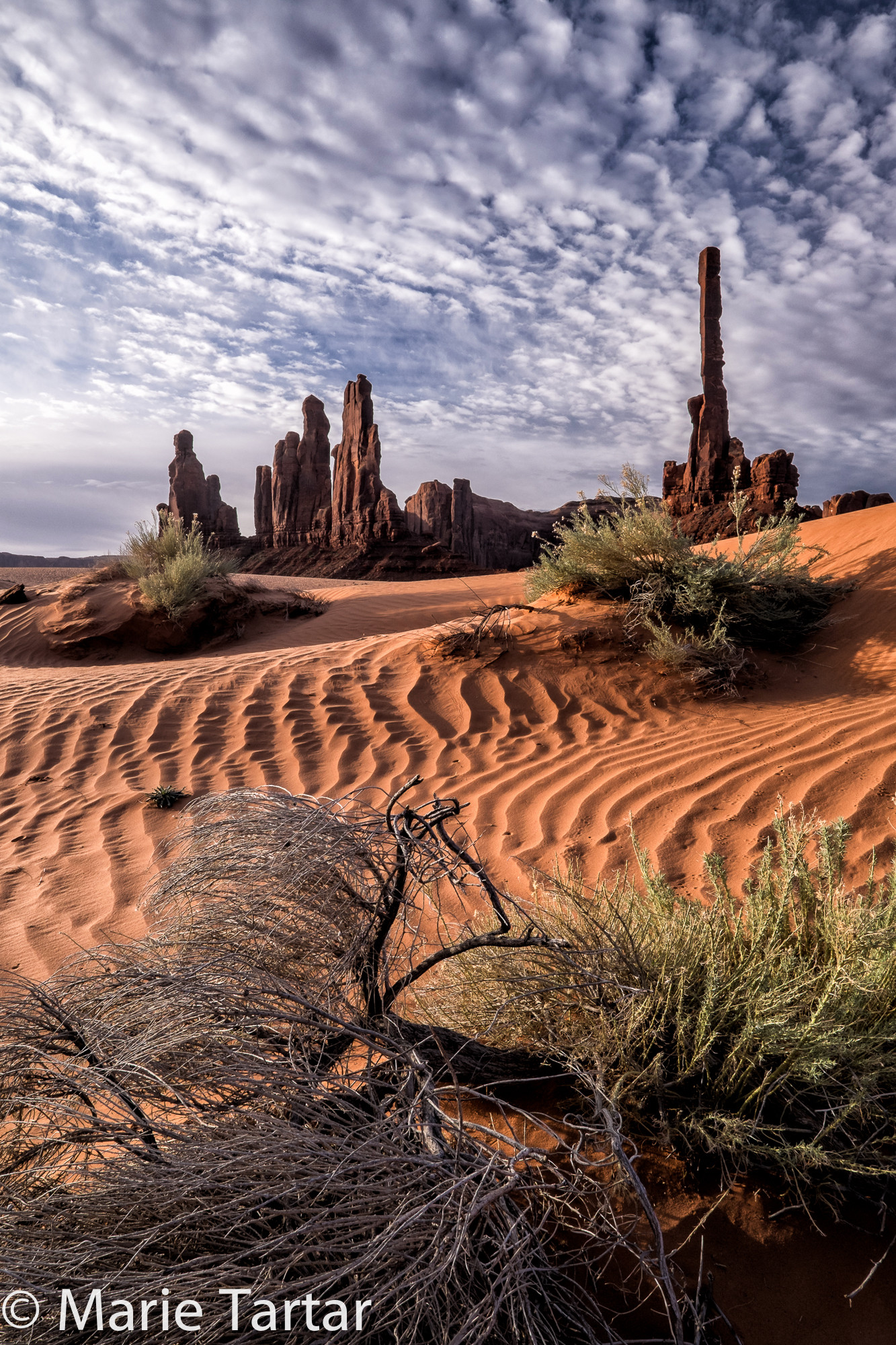 Monument Valley's "Totems"