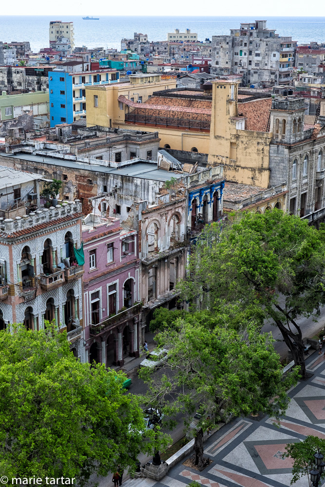 Tree-lined Prado street in Havana, Cuba