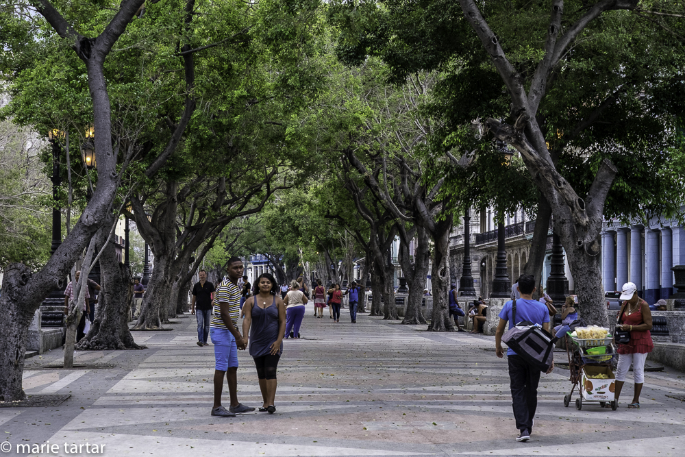 My favorite promenade, the Prado, near Parque Central; the woman in red to the right is an example of a small business enterprise, selling baked goods to passersby