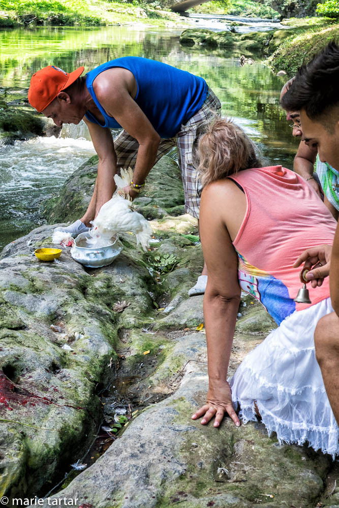 We witnessed the sacrifice of a chicken in a riverside Santería ceremony