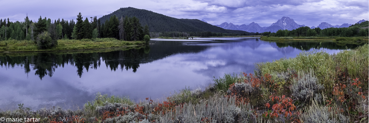 201508 MT Oxbow Bend Red Flowers Pano