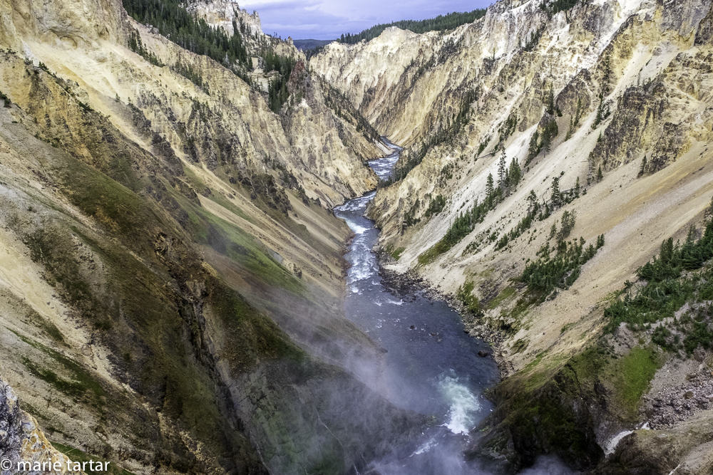 Grand Canyon of Yellowstone: The view from the platform at the terminus of the Brink of the Lower falls trail, back toward Artist Point