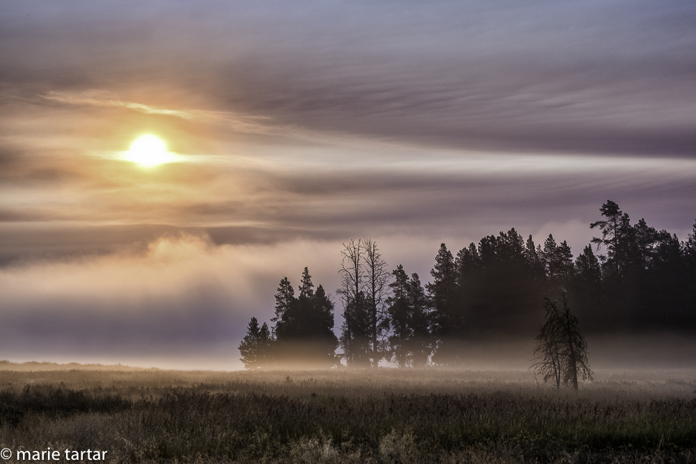 Early morning with fog at Lake Yellowstone