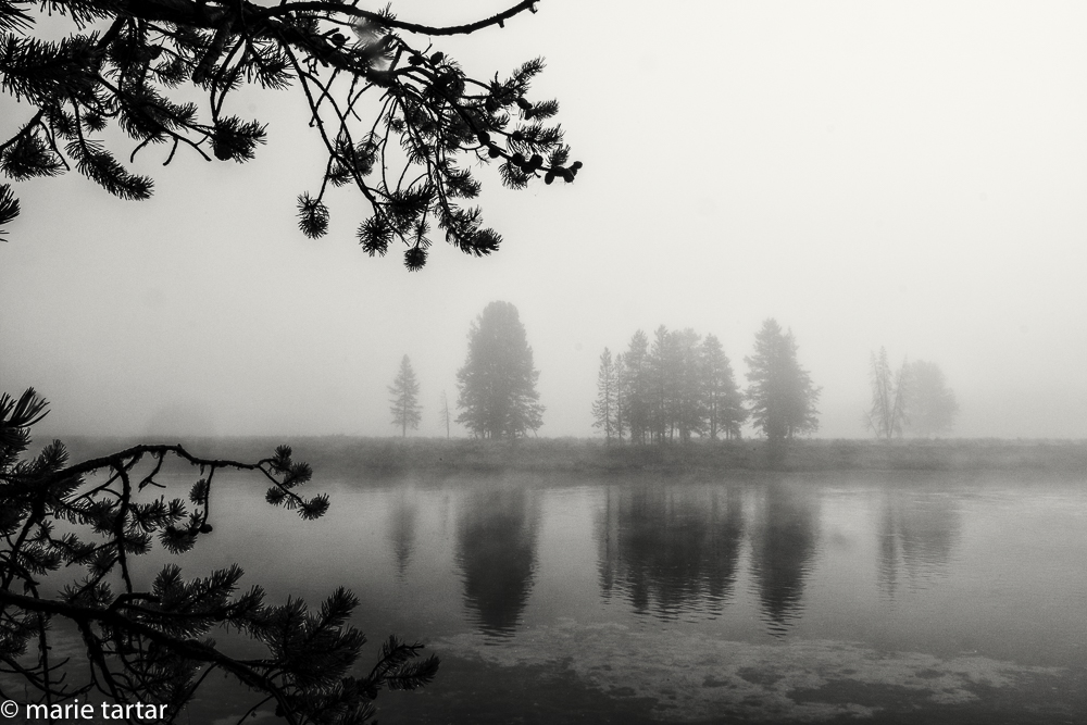 201508 MT Yellowstone Fog Sepia