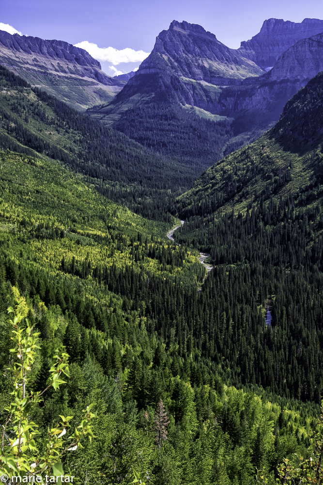 View from the Going-to-the-Sun Road in Glacier National Park