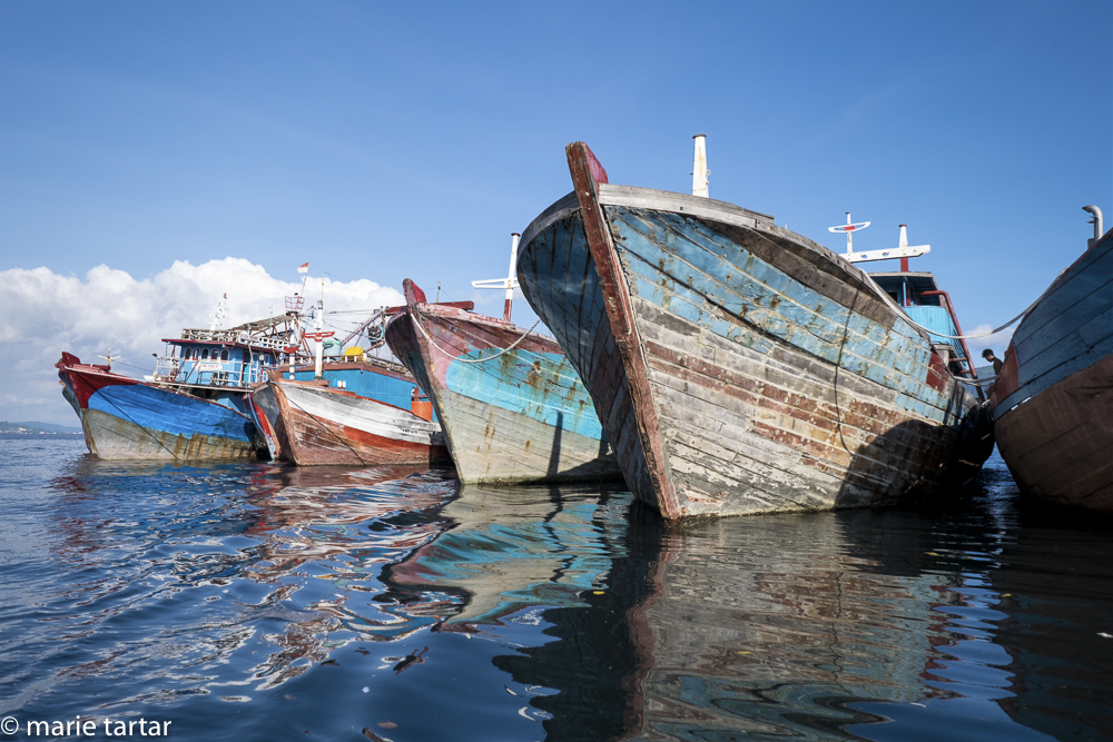 Fishing boats in Ambon; one of our dive sites was virtually underneath these colorful boats