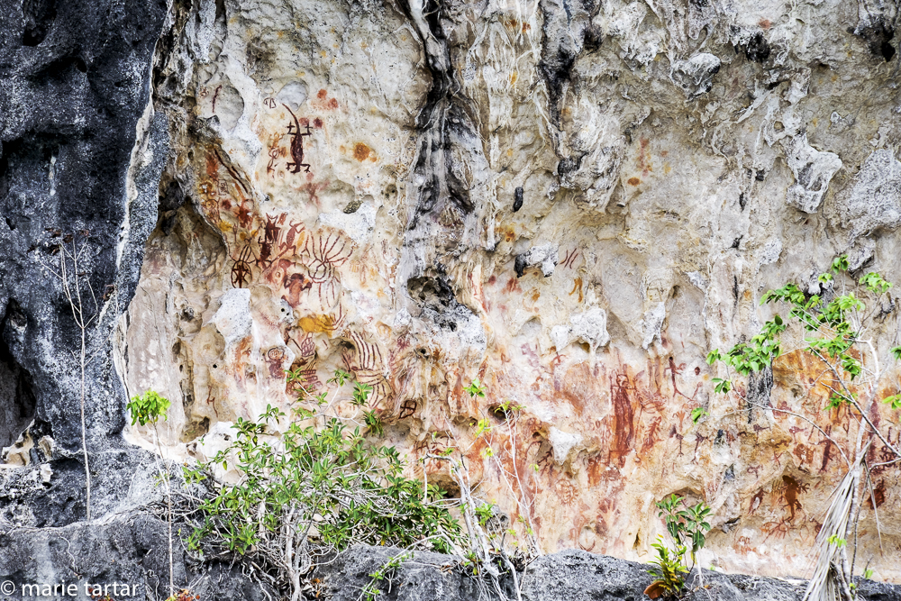 Rock art, 5000-7000 years old, Triton Bay