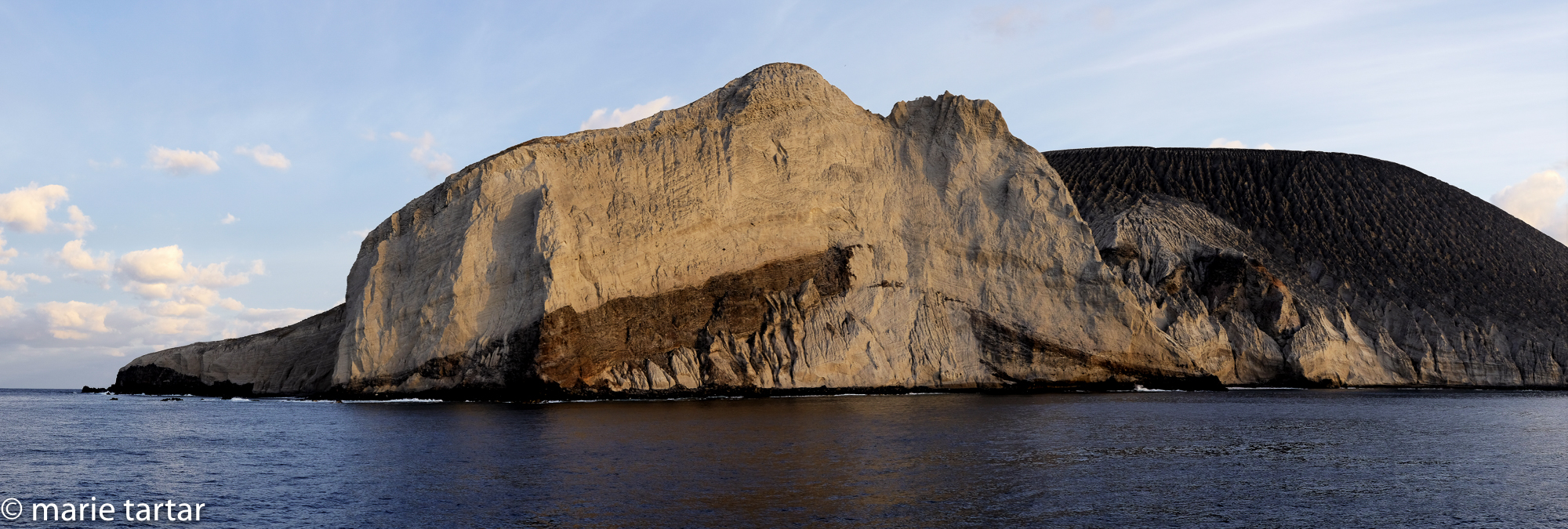 Socorro consists of 4 barren volcanic islands with their own ecosystem, including sculptural Isla San Bendicto