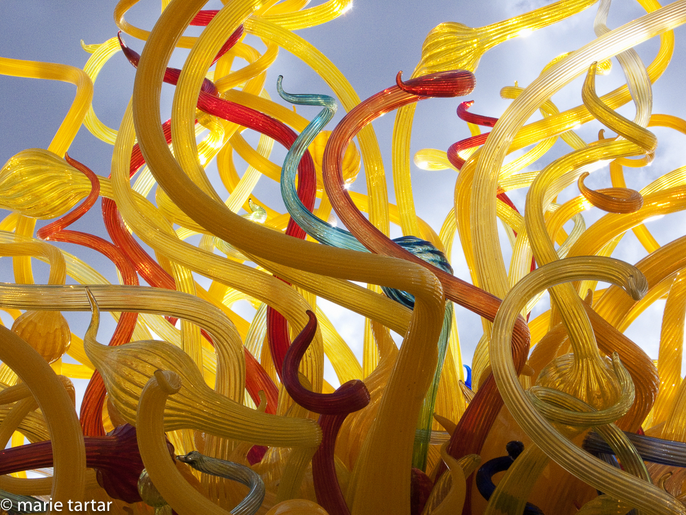 Wonderful colors and exuberant forms in Chihuly's installation at the Desert BOtanical Garden in Phoenix in 2009