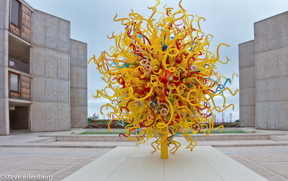 The centerpiece of Chihuly at Salk in 2010