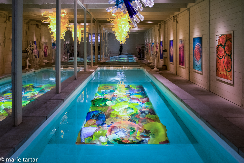 Like swimming over a coral reef, the pool at Chihuly's Boathouse