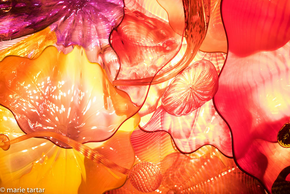 Chihuly ceiling detail at Gardens and Glass Museum in Seattle