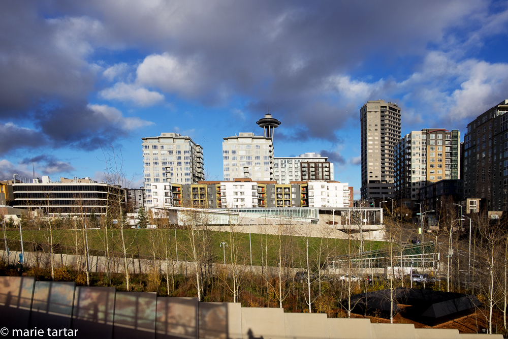 Great clouds and sun on a cold winter day in Seattle! Olympic Sculpture Park works by Teresita fernandez on left and on right