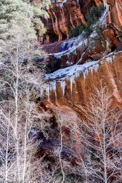 West Fork of Oak Creek, only 3 weeks before during the first week of February, cold enough for icicles!
