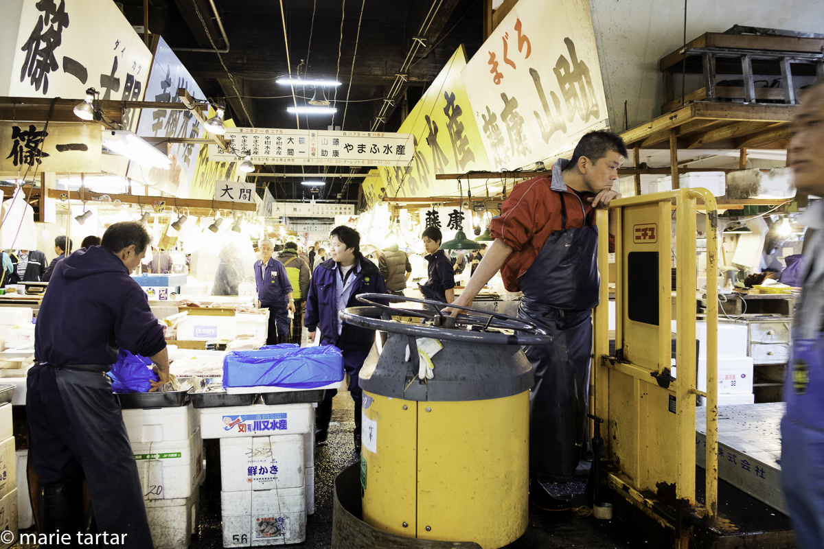 Tsukiji-bodies, boxes, packages, conveyances in every direction