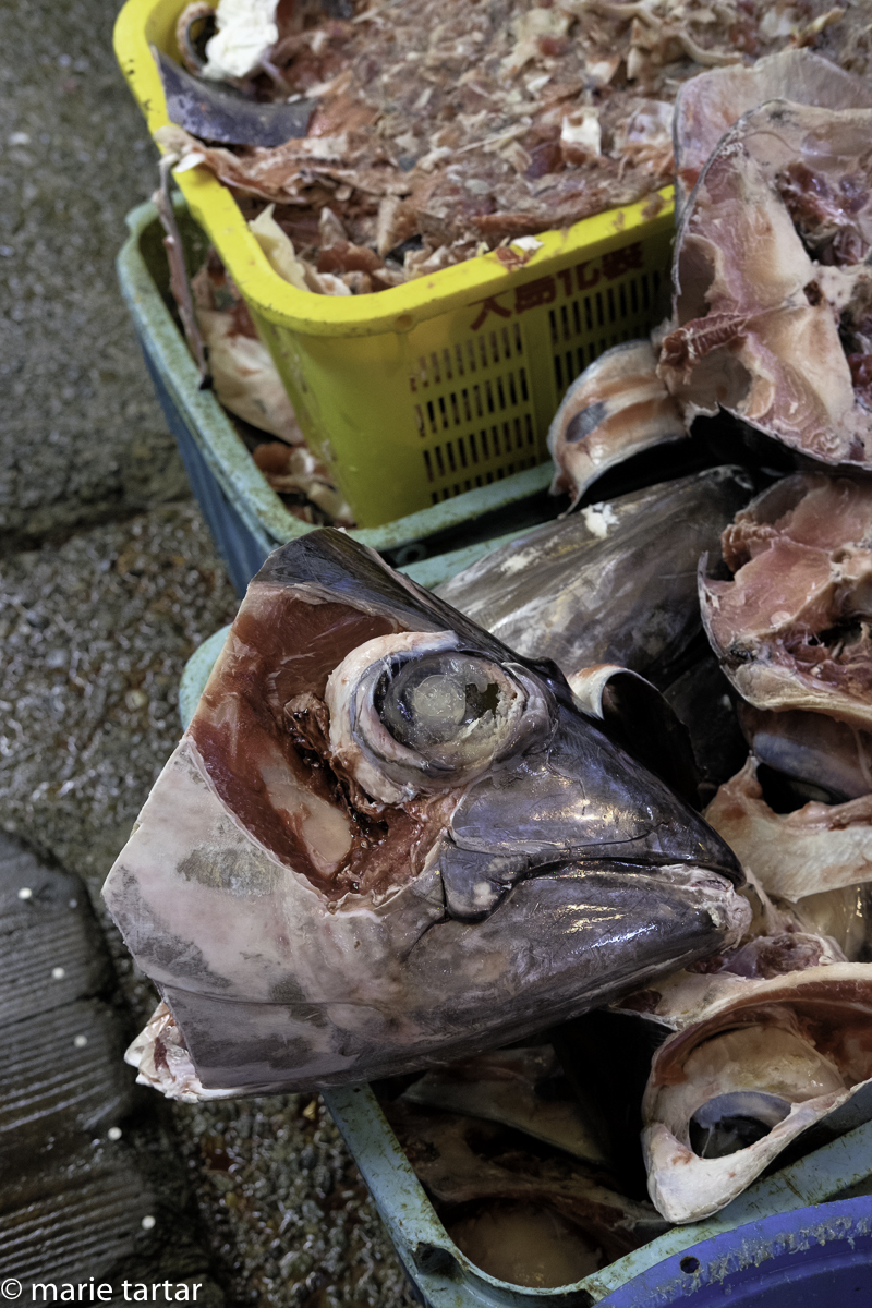 By-product of the morning's activity at Tsukiji fish market, Tokyo