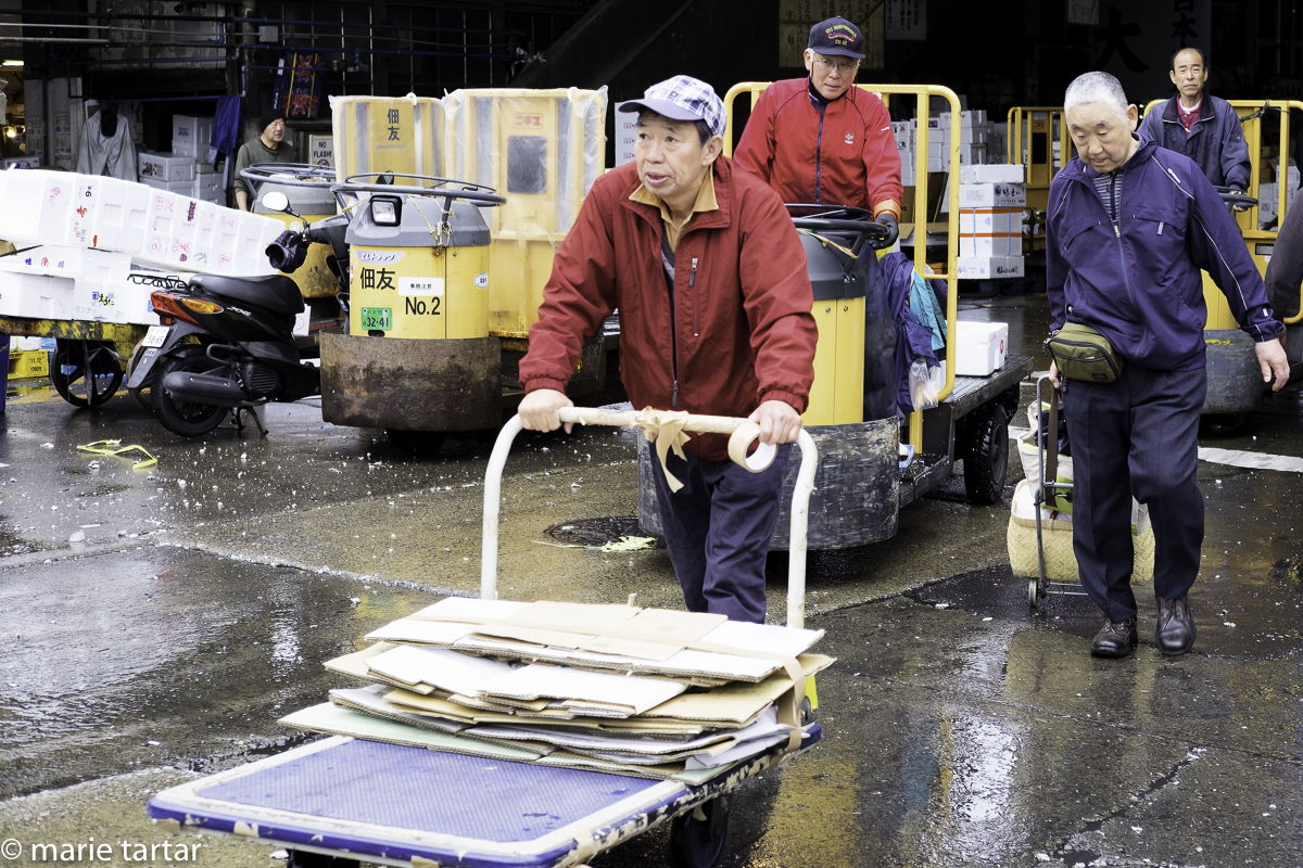A never-ending stream of carts, trucks, even rickshaws stream in and out of Tsukiji, the world's busier seafood market