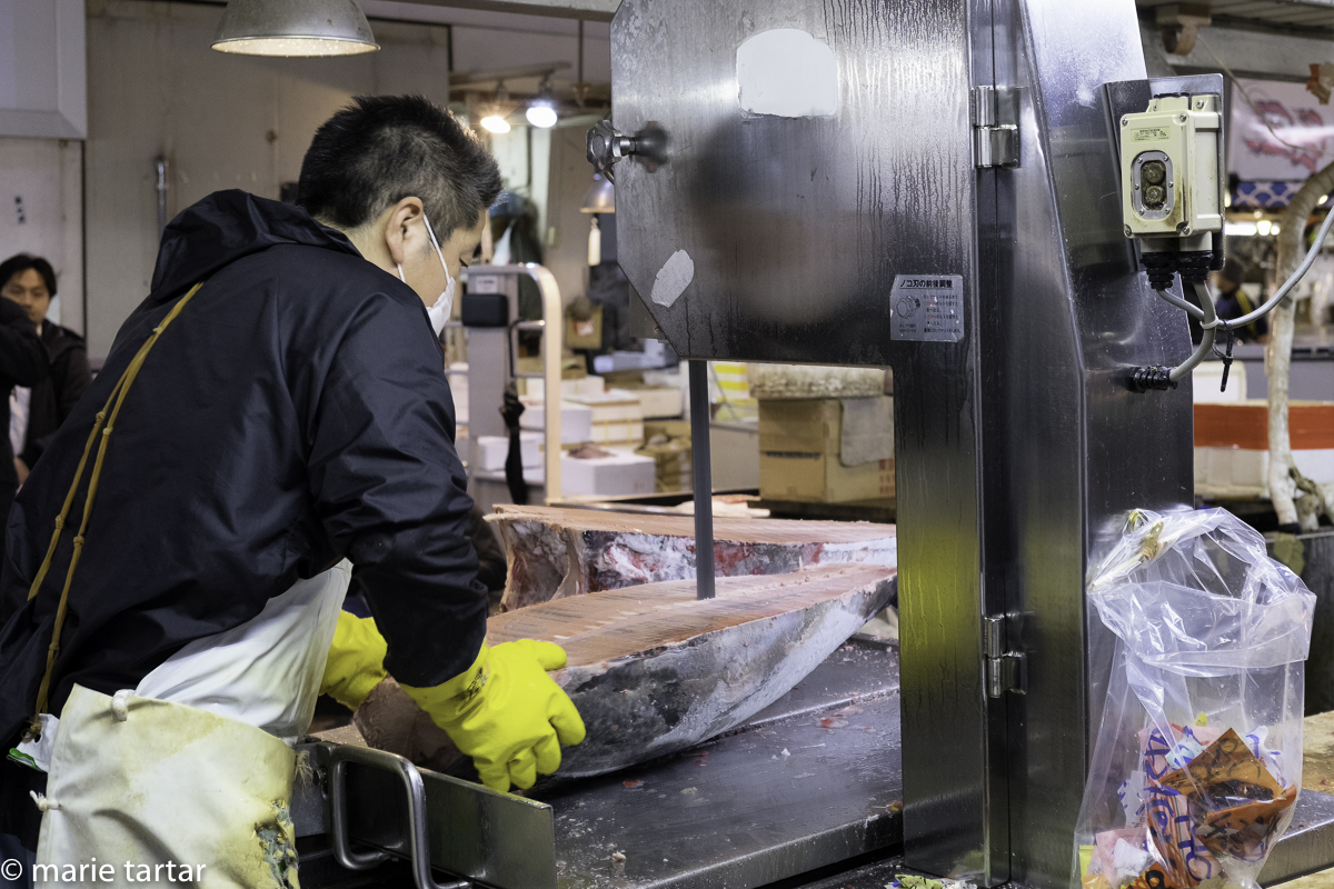 From the floor to being quartered, precision work at Tsukiji, Tokyo's landmark fish market